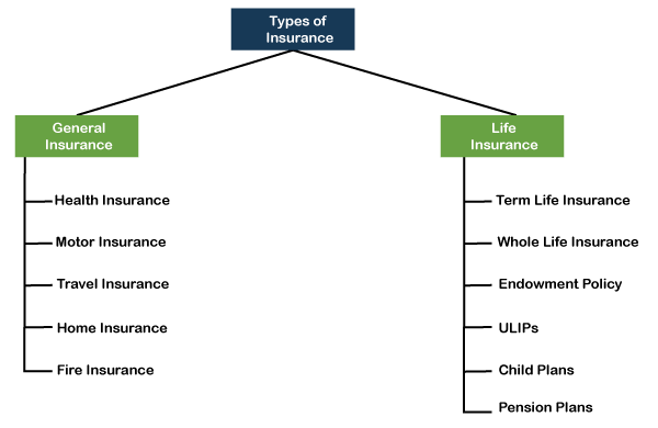 Types of Insurance